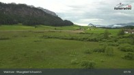 Archiv Foto Webcam Moorgebiet Schwemm am Walchsee 06:00