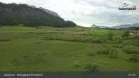 Archiv Foto Webcam Moorgebiet Schwemm am Walchsee 07:00