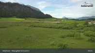 Archiv Foto Webcam Moorgebiet Schwemm am Walchsee 08:00