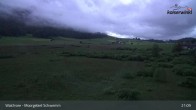Archiv Foto Webcam Moorgebiet Schwemm am Walchsee 20:00
