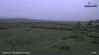 Archiv Foto Webcam Moorgebiet Schwemm am Walchsee 04:00