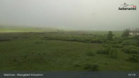 Archiv Foto Webcam Moorgebiet Schwemm am Walchsee 06:00