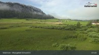 Archiv Foto Webcam Moorgebiet Schwemm am Walchsee 07:00