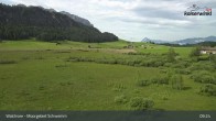 Archiv Foto Webcam Moorgebiet Schwemm am Walchsee 08:00