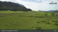Archiv Foto Webcam Moorgebiet Schwemm am Walchsee 10:00