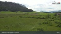 Archiv Foto Webcam Moorgebiet Schwemm am Walchsee 12:00