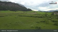 Archiv Foto Webcam Moorgebiet Schwemm am Walchsee 16:00