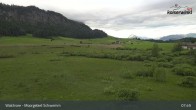 Archiv Foto Webcam Moorgebiet Schwemm am Walchsee 07:00