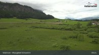 Archiv Foto Webcam Moorgebiet Schwemm am Walchsee 08:00