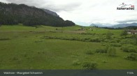 Archiv Foto Webcam Moorgebiet Schwemm am Walchsee 10:00