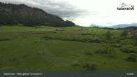 Archiv Foto Webcam Moorgebiet Schwemm am Walchsee 12:00