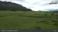 Archiv Foto Webcam Moorgebiet Schwemm am Walchsee 14:00