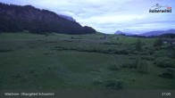 Archiv Foto Webcam Moorgebiet Schwemm am Walchsee 00:00