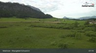 Archived image Webcam Schwemm Moorland by Lake Walchsee 06:00