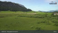 Archived image Webcam Schwemm Moorland by Lake Walchsee 08:00
