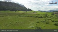 Archived image Webcam Schwemm Moorland by Lake Walchsee 12:00