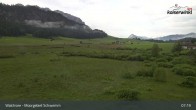 Archiv Foto Webcam Moorgebiet Schwemm am Walchsee 06:00