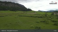 Archiv Foto Webcam Moorgebiet Schwemm am Walchsee 10:00