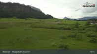 Archiv Foto Webcam Moorgebiet Schwemm am Walchsee 14:00