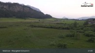 Archiv Foto Webcam Moorgebiet Schwemm am Walchsee 02:00