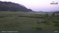Archiv Foto Webcam Moorgebiet Schwemm am Walchsee 04:00