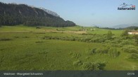 Archiv Foto Webcam Moorgebiet Schwemm am Walchsee 06:00