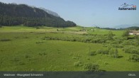 Archiv Foto Webcam Moorgebiet Schwemm am Walchsee 08:00
