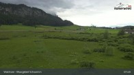 Archived image Webcam Schwemm Moorland by Lake Walchsee 07:00