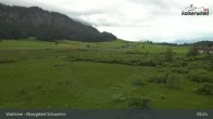 Archived image Webcam Schwemm Moorland by Lake Walchsee 08:00