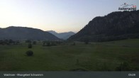 Archiv Foto Webcam Moorgebiet Schwemm am Walchsee 04:00