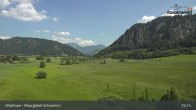 Archiv Foto Webcam Moorgebiet Schwemm am Walchsee 14:00