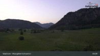 Archiv Foto Webcam Moorgebiet Schwemm am Walchsee 04:00