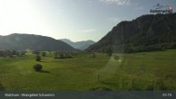 Archiv Foto Webcam Moorgebiet Schwemm am Walchsee 06:00