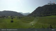 Archiv Foto Webcam Moorgebiet Schwemm am Walchsee 08:00