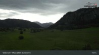 Archiv Foto Webcam Moorgebiet Schwemm am Walchsee 14:00
