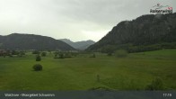 Archiv Foto Webcam Moorgebiet Schwemm am Walchsee 16:00