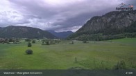 Archiv Foto Webcam Moorgebiet Schwemm am Walchsee 02:00
