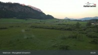 Archiv Foto Webcam Moorgebiet Schwemm am Walchsee 04:00