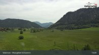 Archiv Foto Webcam Moorgebiet Schwemm am Walchsee 12:00