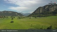 Archiv Foto Webcam Moorgebiet Schwemm am Walchsee 16:00