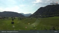 Archiv Foto Webcam Moorgebiet Schwemm am Walchsee 08:00