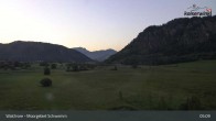 Archiv Foto Webcam Moorgebiet Schwemm am Walchsee 04:00