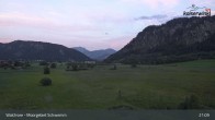 Archiv Foto Webcam Moorgebiet Schwemm am Walchsee 02:00