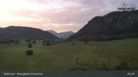 Archiv Foto Webcam Moorgebiet Schwemm am Walchsee 04:00