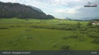Archiv Foto Webcam Moorgebiet Schwemm am Walchsee 07:00