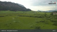 Archiv Foto Webcam Moorgebiet Schwemm am Walchsee 08:00