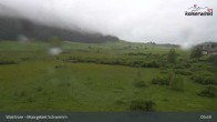 Archiv Foto Webcam Moorgebiet Schwemm am Walchsee 06:00