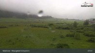 Archiv Foto Webcam Moorgebiet Schwemm am Walchsee 07:00
