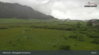 Archiv Foto Webcam Moorgebiet Schwemm am Walchsee 08:00