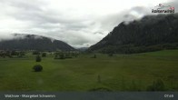 Archiv Foto Webcam Moorgebiet Schwemm am Walchsee 07:00